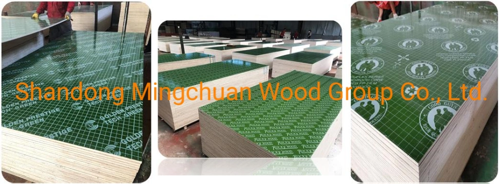 18mm Plastic PP Film Faced Plywood PVC Board Building Materials Combi Plywood