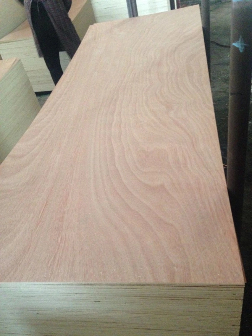 Factory-Pine Furniture/Red Oak/Parota Plywood/Okoume Plywood/Mahogany Furniture Hardwood Plywood Cheapest Prices