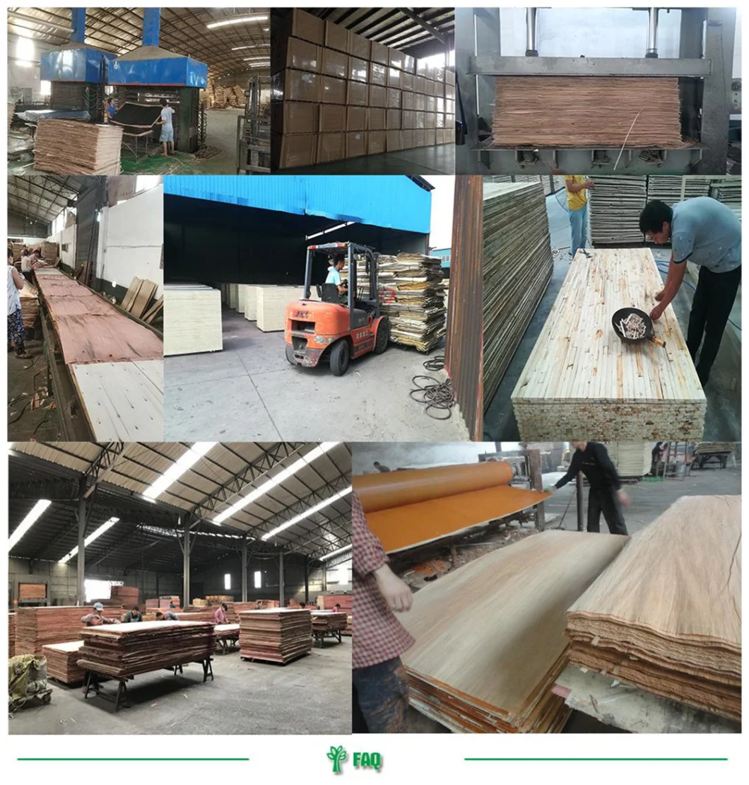 China Factory Water Proof OSB3 Board in 9mm 12mm 18mm for Furniture